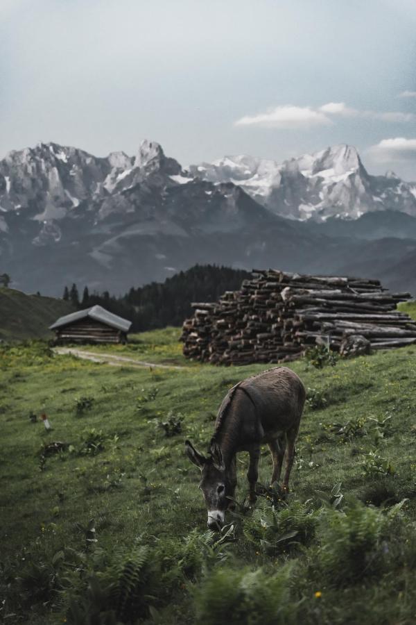 Hotel Gaestehaus Eder Sankt Martin am Tennengebirge Esterno foto